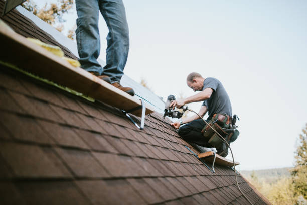 Best Storm Damage Roof Repair  in Odon, IN
